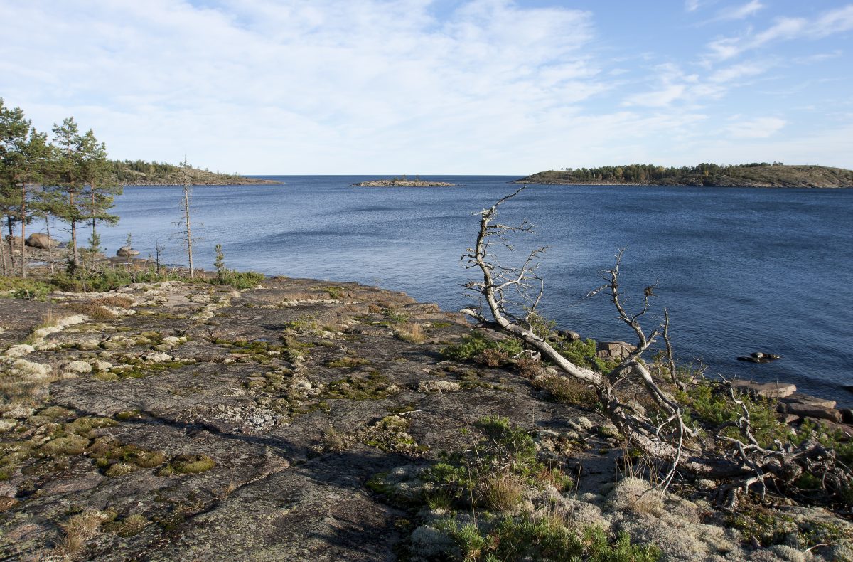 Öljyntorjunta